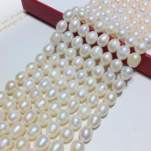 Riso coltivato in perla d'acqua dolce, perla d'acquadolce coltivata naturalmente, DIY, bianco, Length about 10-11mm, Venduto per Appross. 40 cm filo