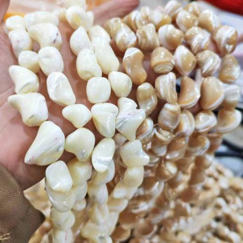 Natürliche Süßwasser Muschel Perlen, Turbanschnecken, DIY, keine, 10x15mm, verkauft per ca. 38 cm Strang