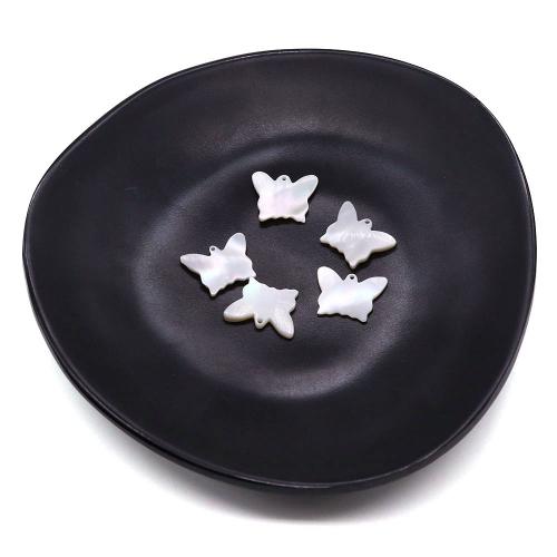 Shell Pendants Natural Seashell Butterfly DIY white Sold By PC