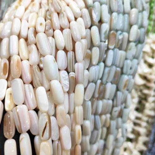 Natural Freshwater Shell Beads polished fashion jewelry & DIY Sold Per Approx 38 cm Strand