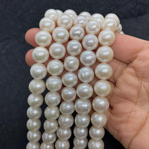 Kulaté kultivované sladkovodní perle, Sladkovodní Pearl, Kolo, DIY & různé velikosti pro výběr, bílý, Prodáno za Cca 38 cm Strand