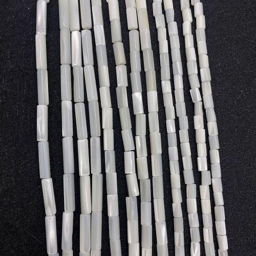 Prirodni Sea Shell perle, Cijev, možete DIY & različite veličine za izbor, bijel, Prodano Per Približno 38 cm Strand