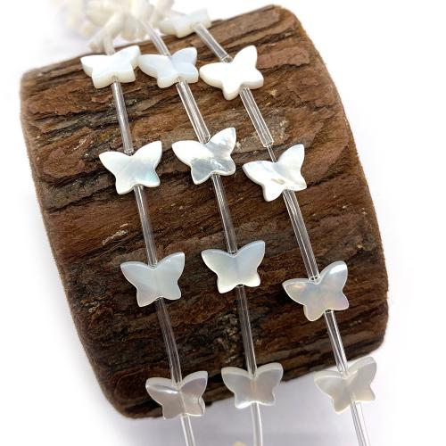 Natural Seashell Beads Butterfly DIY Sold By PC