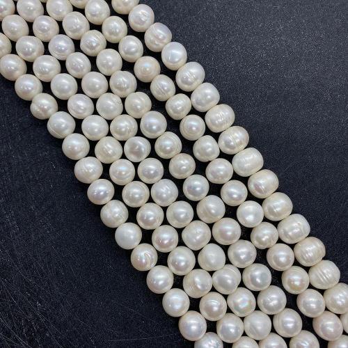 Přírodní sladkovodní perly perlí, Sladkovodní Pearl, Mírně kulaté, DIY & různé velikosti pro výběr, bílý, Prodáno za Cca 38 cm Strand