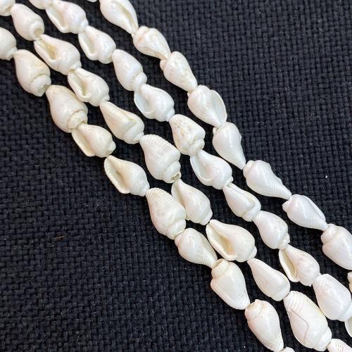 Natural Freshwater Shell Beads Conch DIY Sold Per Approx 38 cm Strand