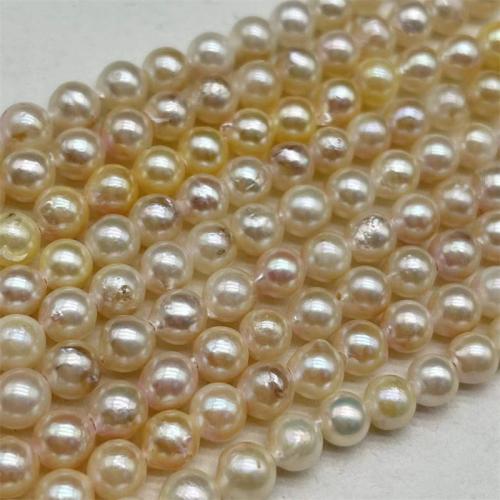 Přírodní Akoya kultivované Pearl šperky, Akoya kultivované perly, Mírně kulaté, DIY, zlatý, Pearl 6-7mm, Prodáno za Cca 15 inch Strand