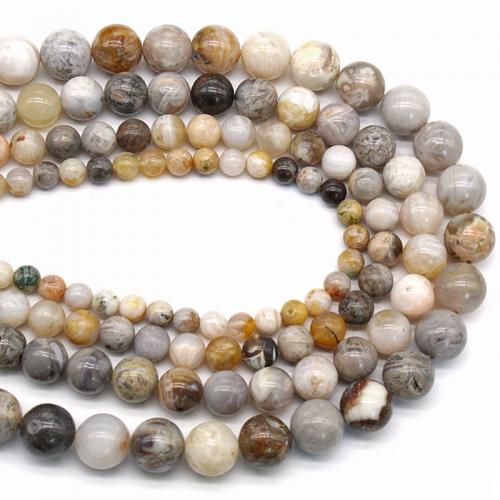 Agate perle, Bambus Agate, Krug, uglađen, možete DIY & različite veličine za izbor, Prodano Per Približno 38 cm Strand