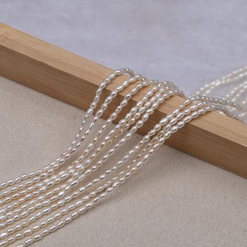 Rýže kultivované sladkovodní perle, Sladkovodní Pearl, módní šperky & DIY, bílý, Length about 2-2.5mm, Prodáno za Cca 37-38 cm Strand