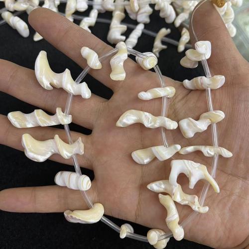 Shell Pendants Trochus fashion jewelry & DIY Length about 20-30mm Approx Sold By Strand