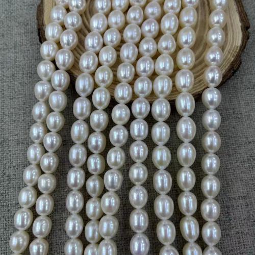 Ryžiai Kultūringas gėlavandenių perlų karoliukai, Gėlo vandens perlų, Pasidaryk pats, baltas, Length about 8-9mm, Apytiksliai 42kompiuteriai/Strand, Pardavė Strand