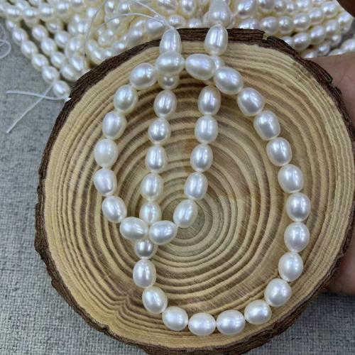 Rice Kulturan Slatkovodni Pearl perle, Riža, modni nakit & možete DIY, više boja za izbor, Length about 7-8mm, Približno 44računala/Strand, Prodano By Strand