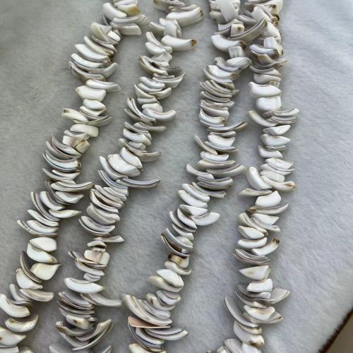 Perles naturelles de coquillages de mer , coquillage, DIY, blanc, about:12-16mm, Environ 120PC/brin, Vendu par brin