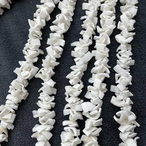 Grânulos do escudo de água doce natural, concha, DIY, branco, about:12-16mm, Aprox 150PCs/Strand, vendido por Strand