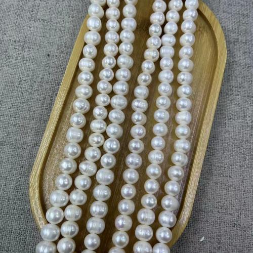 Přírodní sladkovodní perly perlí, Sladkovodní Pearl, Mírně kulaté, módní šperky & DIY, bílý, Length about 8-9mm, Cca 47PC/Strand, Prodáno By Strand