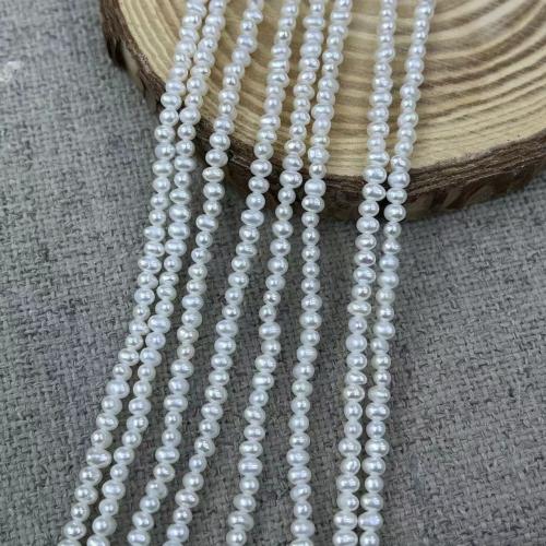 Perline perle d'acqua dolce naturale, perla d'acquadolce coltivata naturalmente, Leggermente rotondo, gioielli di moda & DIY, bianco, Length about 2.5-3mm, Appross. 157PC/filo, Venduto da filo
