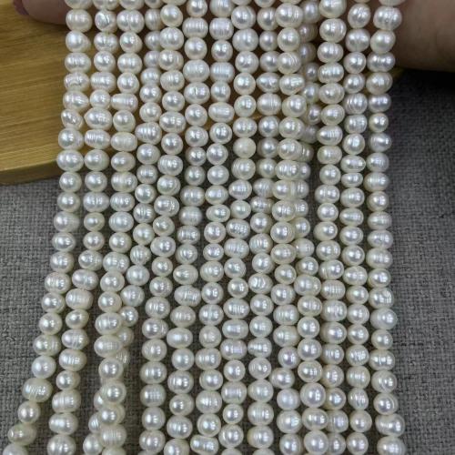 Naturel d'eau douce perles, perle d'eau douce cultivée, ovale, bijoux de mode & DIY, blanc, Length about 5-6mm, Environ 65PC/brin, Vendu par brin