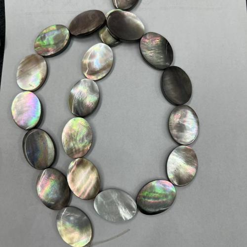 Black Shell Beads Flat Oval fashion jewelry & DIY mixed colors Approx Sold By Strand