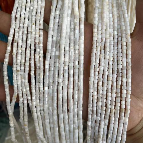 Natural Freshwater Shell Beads Column fashion jewelry & DIY white Sold By Strand