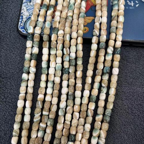 Perles naturelles de coquillage d'eau douce , coquille, pilier, bijoux de mode & DIY, couleurs mélangées, 5x6mm, Environ 68PC/brin, Vendu par brin