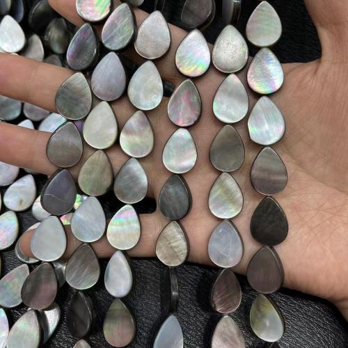 Naturlig Freshwater Shell Perler, Sort + læbe + skal, Teardrop, mode smykker & du kan DIY, blandede farver, 13x18mm, 5pc'er/Bag, Solgt af Bag