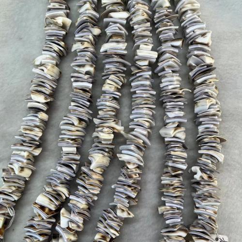 Přírodní Korálky Sea Shell, módní šperky & DIY, smíšené barvy, Length about 12-16mm, Cca 122PC/Strand, Prodáno By Strand