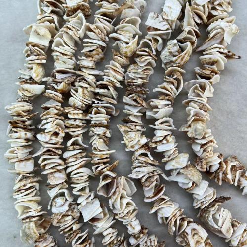 Přírodní Korálky Sea Shell, módní šperky & DIY, smíšené barvy, Length about 12-16mm, Cca 112PC/Strand, Prodáno By Strand