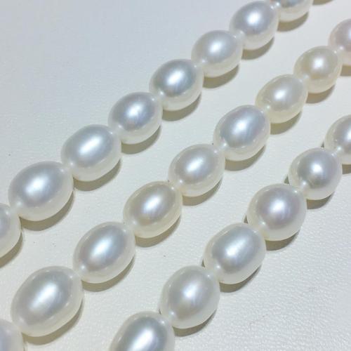 Rýže kultivované sladkovodní perle, Sladkovodní Pearl, DIY, bílý, pearl diameter  7.5-8.5mm, Prodáno za Cca 38 cm Strand