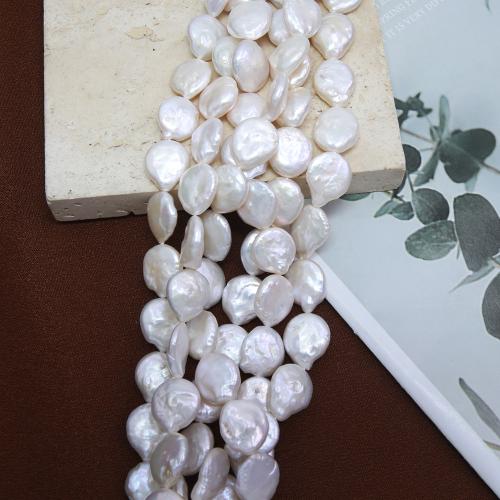 Spłaszczone koraliki z pereł słodkowodnych hodowlanych, Perła naturalna słodkowodna, Guzik, biżuteria moda & DIY, biały, Length about 12-13mm, sprzedawane na około 38 cm Strand