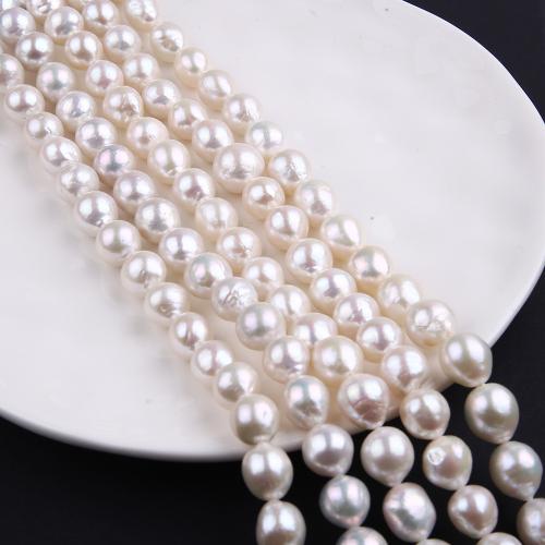 Přírodní sladkovodní perly perlí, Sladkovodní Pearl, Mírně kulaté, módní šperky & DIY, bílý, Length about 9-10mm, Délka Cca 38 cm, Prodáno By PC
