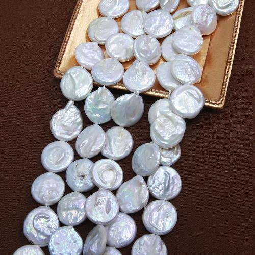 Cultured Button Freshwater Pearl Beads fashion jewelry & DIY white Length about 15-16mm Length Approx 38 cm Sold By PC