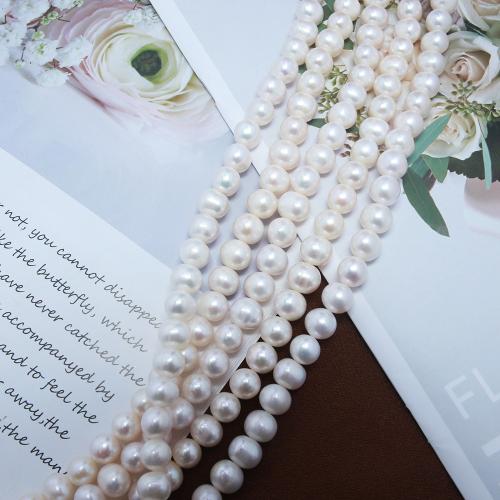 Přírodní sladkovodní perly perlí, Sladkovodní Pearl, Mírně kulaté, módní šperky & DIY, bílý, Length about 10-11mm, Délka Cca 38 cm, Prodáno By PC