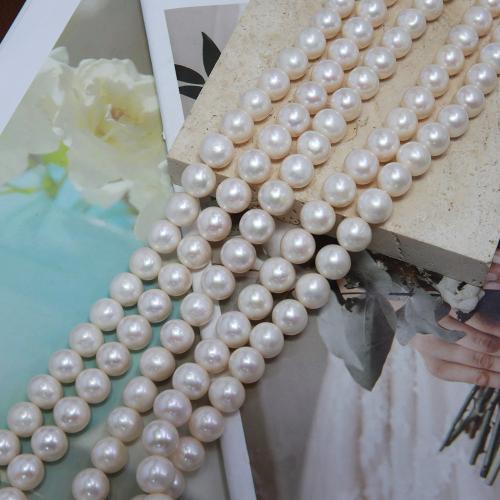 Přírodní sladkovodní perly perlí, Sladkovodní Pearl, Mírně kulaté, módní šperky & DIY, bílý, Length about 10-11mm, Prodáno za Cca 38 cm Strand