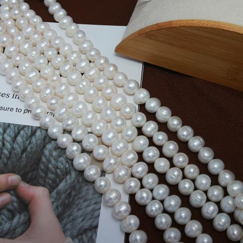 Přírodní sladkovodní perly perlí, Sladkovodní Pearl, Mírně kulaté, módní šperky & DIY, bílý, Length about 9-10mm, Prodáno za Cca 38 cm Strand