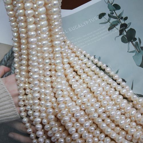 Přírodní sladkovodní perly perlí, Sladkovodní Pearl, Mírně kulaté, módní šperky & DIY, bílý, Length about 8-9mm, Prodáno za Cca 38 cm Strand