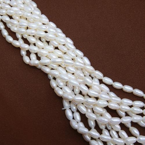 Perles d'eau douce de culture de riz, perle d'eau douce cultivée, bijoux de mode & DIY, blanc, Length about 5-5.5mm, Vendu par Environ 38 cm brin