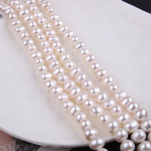 Natūralus gėlavandenių perlų Palaidos karoliukai, Gėlo vandens perlų, Ovalus, Bižuterijos & Pasidaryk pats, baltas, Length about 8-9mm, Parduota už Apytiksliai 38 cm Strand
