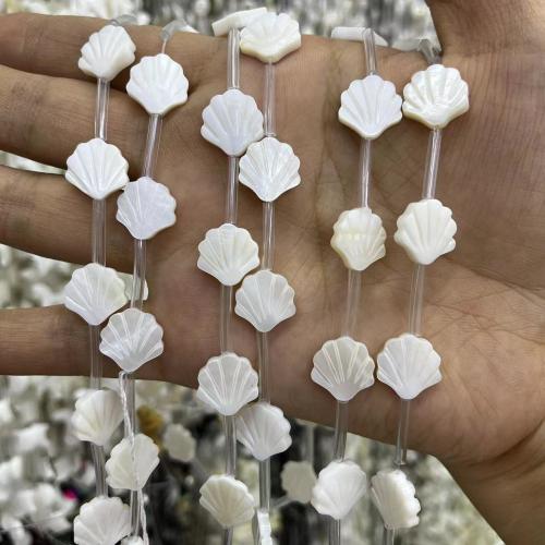 Natural Freshwater Shell Beads Carved fashion jewelry & DIY 12mm Sold By Bag