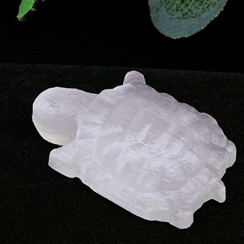 Fashion Decoration Gypsum Turtle Carved Sold By PC