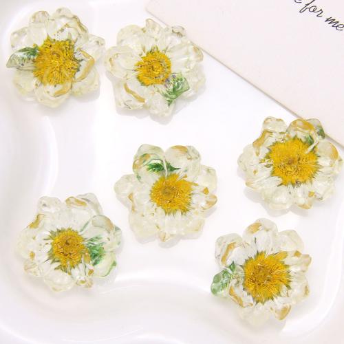 Hair Accessories DIY Findings, Resin, with Dried Flower, Flower, more colors for choice, 25mm, Sold By PC