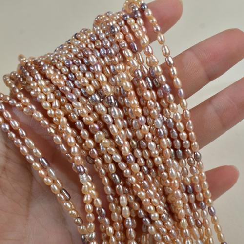 Cultured Rice Freshwater Pearl Beads, DIY, more colors for choice, 2-3mm, Sold Per 38 cm Strand