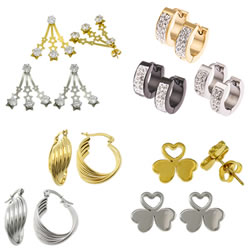 Stainless Steel Jewelry Earring