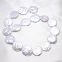 Cultured Coin Freshwater Pearl Beads