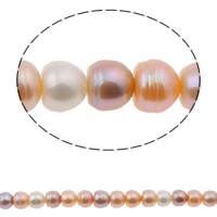 Cultured Button Freshwater Pearl Beads