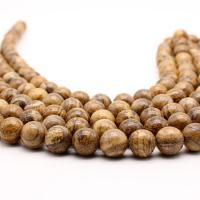 Natural Picture Jasper Beads