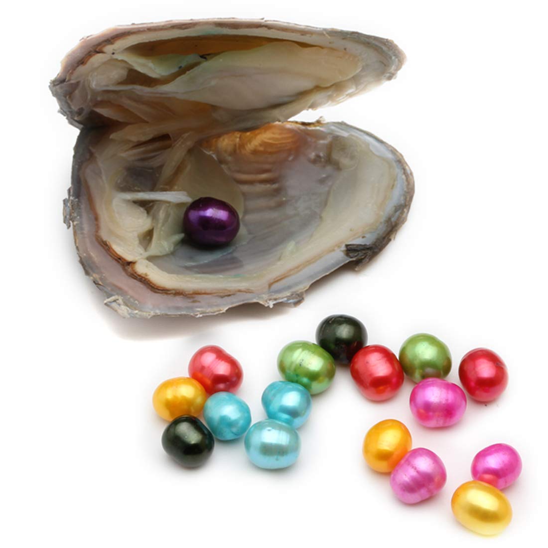 Freshwater Cultured Love Wish Pearl Oyster