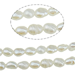 Riso coltivato in perla d'acqua dolce, perla d'acquadolce coltivata naturalmente, naturale, bianco, grado A, 2-3mm, Foro:Appross. 0.8mm, Venduto per Appross. 15 pollice filo
