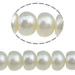 Tlačítko kultivované sladkovodní Pearl Beads, bílý, 8-9mm, Otvor:Cca 0.8mm, Prodáno za 15.5 inch Strand
