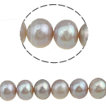 Bouton de culture des perles d'eau douce, perle d'eau douce cultivée, Rond, violet clair, 8-9mm, Trou:Environ 0.8mm, Vendu par Environ 15.5 pouce brin