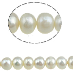 Button Kulturan Slatkovodni Pearl perle, bijel, 7-8mm, Rupa:Približno 0.8mm, Prodano Per 15.5 inčni Strand