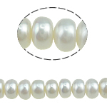 Button Kulturan Slatkovodni Pearl perle, bijel, 7-8mm, Rupa:Približno 0.8mm, Prodano Per Približno 15 inčni Strand